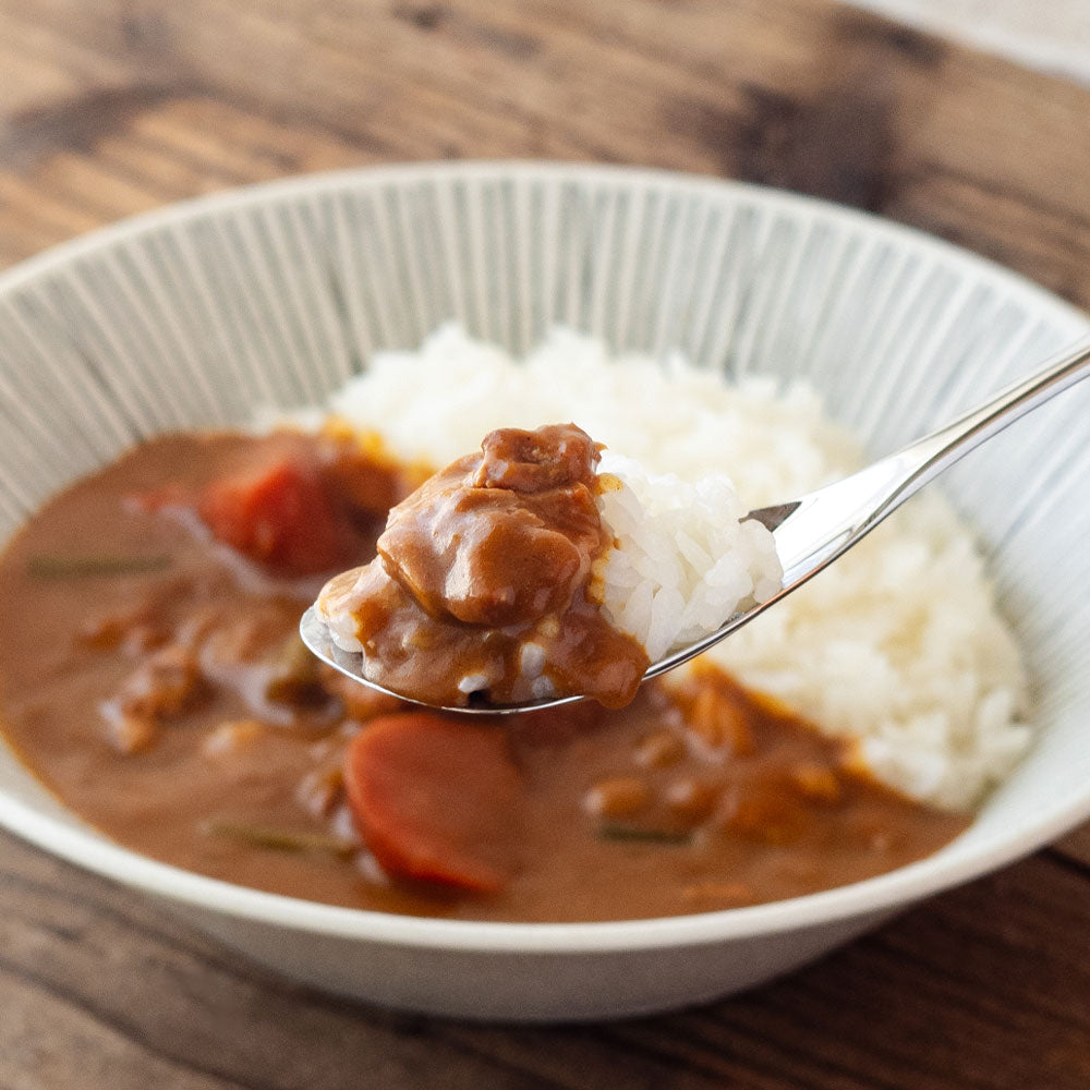 TOMONO CURRY 欧風チキンカレー 5食セット